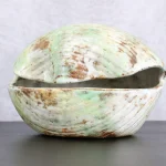 Shell-Shaped Ceramic Vide-Poche – photo 2