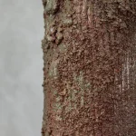 Textured Rust Brown and Green Glazed Ceramic Vase – photo 3