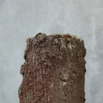 Textured Rust Brown and Green Glazed Ceramic Vase – photo 7